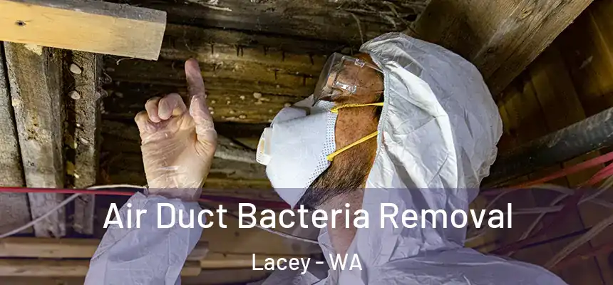  Air Duct Bacteria Removal Lacey - WA