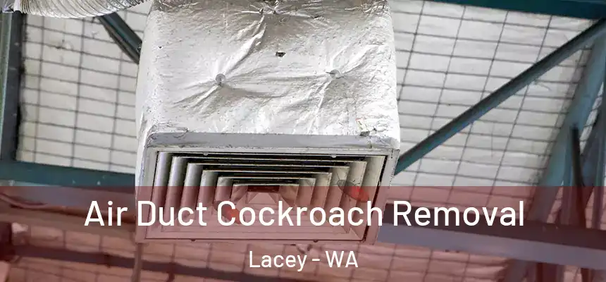  Air Duct Cockroach Removal Lacey - WA