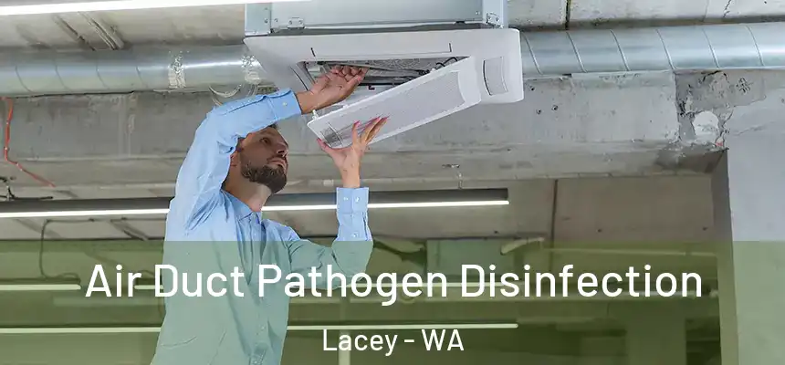 Air Duct Pathogen Disinfection Lacey - WA