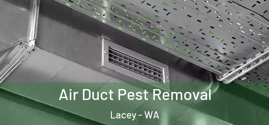  Air Duct Pest Removal Lacey - WA