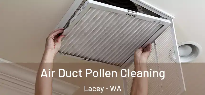  Air Duct Pollen Cleaning Lacey - WA