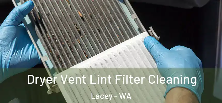  Dryer Vent Lint Filter Cleaning Lacey - WA