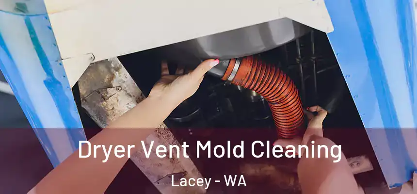  Dryer Vent Mold Cleaning Lacey - WA