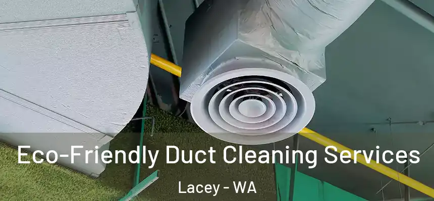 Eco-Friendly Duct Cleaning Services Lacey - WA