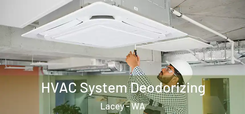 HVAC System Deodorizing Lacey - WA