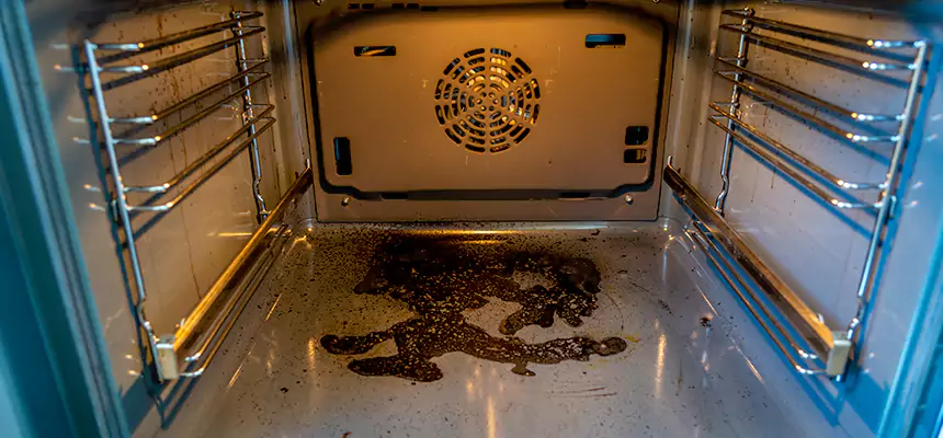 Our Dryer Vent Mold Cleaning Services in Lacey, WA