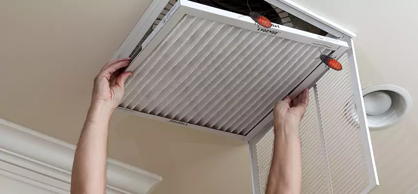 Our Insect Removal from Air Ducts Services in Lacey, WA