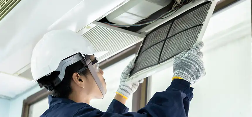 Our Lint Trap Cleaning Service Services in Lacey, WA