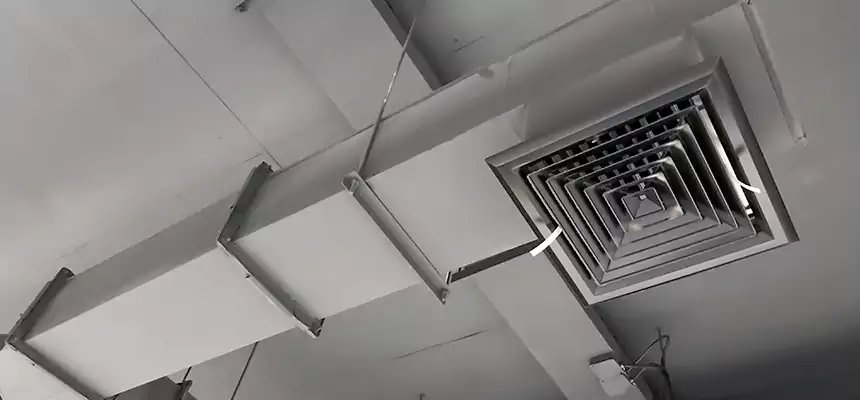 Our Rodent Droppings In Vents Services in Lacey, WA