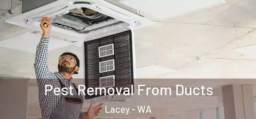 Pest Removal From Ducts Lacey - WA
