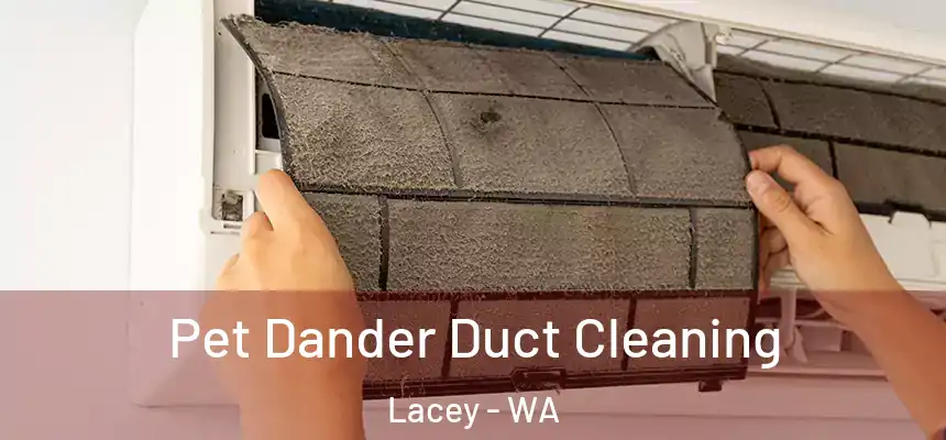 Pet Dander Duct Cleaning Lacey - WA