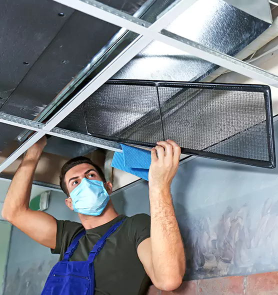 About Air Duct Bacteria Removal in Lacey
