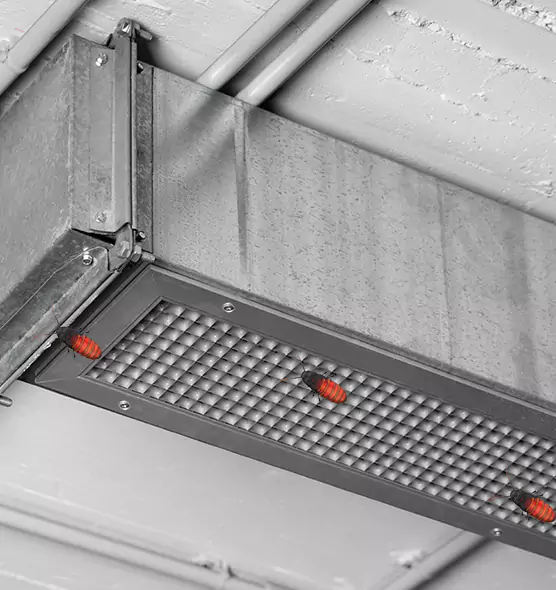 About Air Duct Cockroach Removal in Lacey, WA
