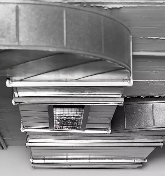 Professional Air Duct Pest Removal in Lacey, WA