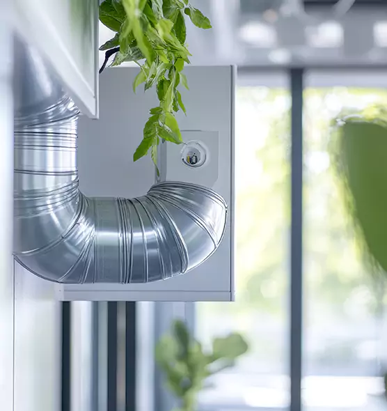 Professional Eco-Friendly Duct Cleaning Services in Lacey, WA