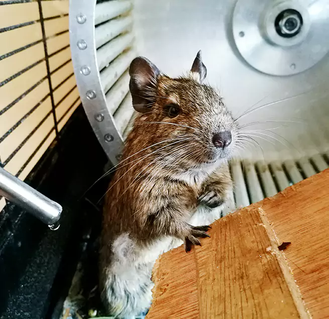 Why Homeowners & Businesses Trust Us Lacey, WA