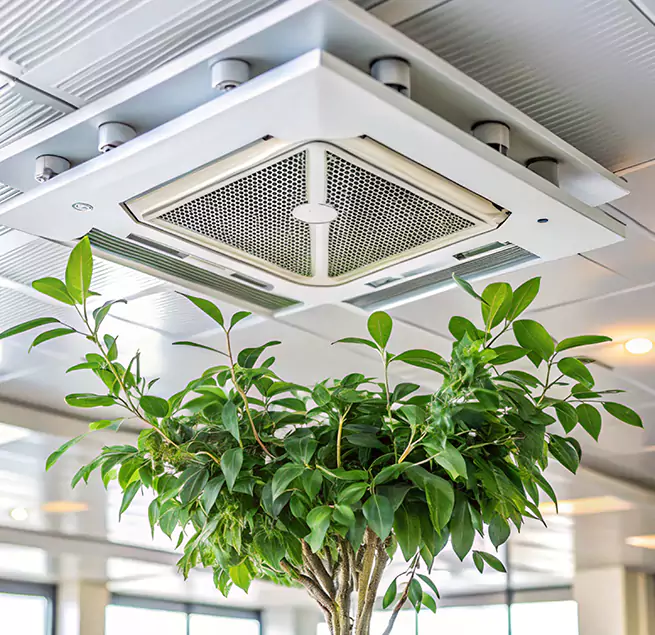 Why Homeowners & Businesses Trust Us in Lacey, WA?