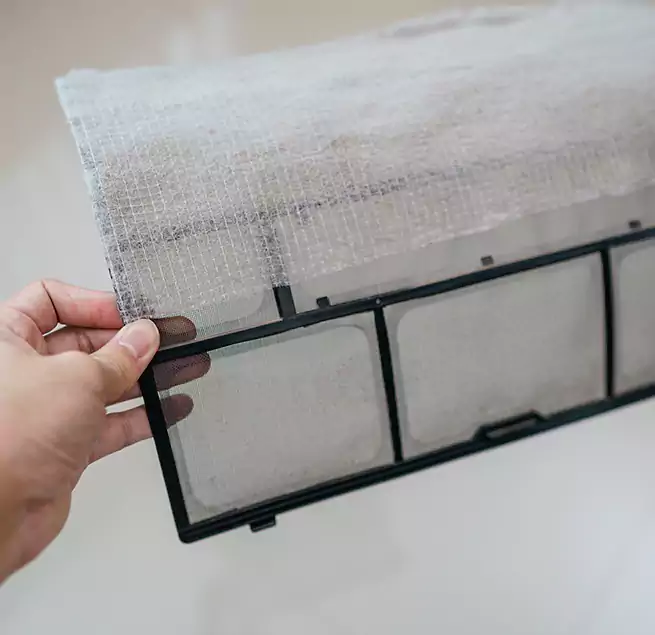 Why Homeowners & Businesses Trust Us in Lacey, WA?