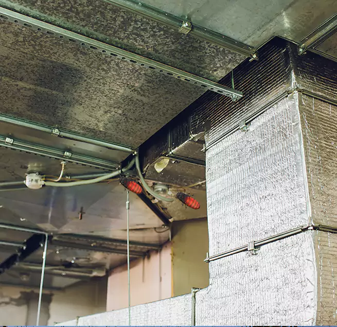 Why Homeowners & Businesses Trust Us Lacey, WA?