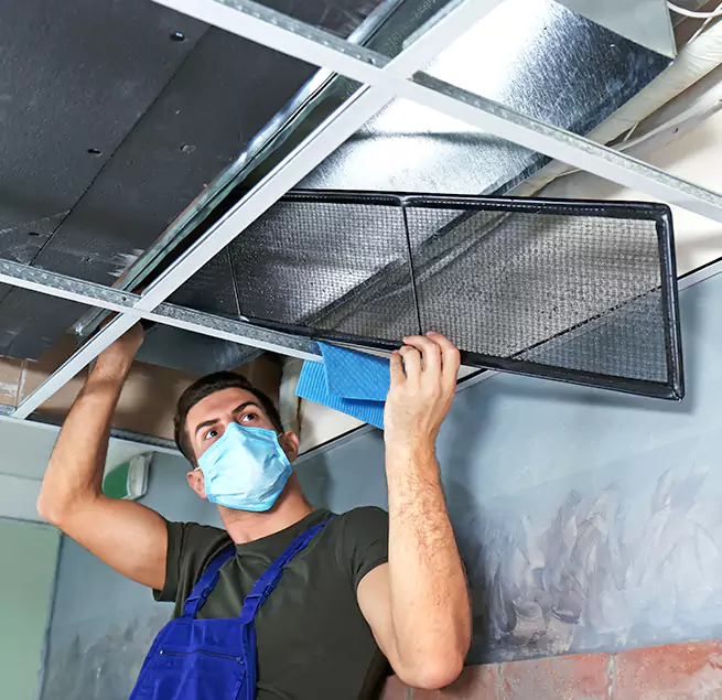 Why Homeowners Businesses Trust Us in Lacey, WA?